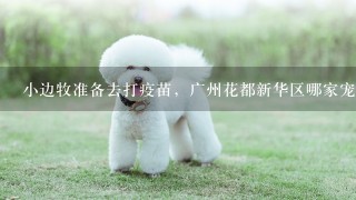 小边牧准备去打疫苗，广州花都新华区哪家宠物医院正规且专业？