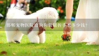 邯郸宠物医院给狗狗做腿折手术多少钱？