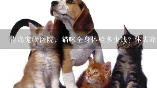 青岛宠物医院，猫咪全身体检多少钱? 体表除虱，体内除虱大概多少钱?