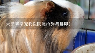 天津哪家宠物医院能给狗测排卵?