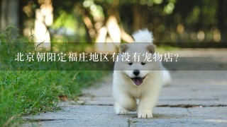 北京朝阳定福庄地区有没有宠物店?
