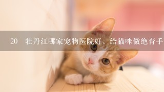 20 牡丹江哪家宠物医院好，给猫咪做绝育手术要多少钱？