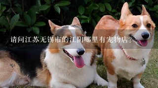请问江苏无锡市的江阴哪里有宠物店？
