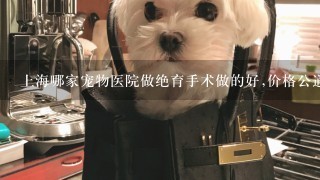 上海哪家宠物医院做绝育手术做的好,价格公道?