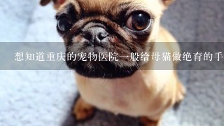 想知道重庆的宠物医院1般给母猫做绝育的手术费用大