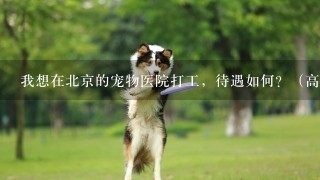 我想在北京的宠物医院打工，待遇如何？（高分追加）