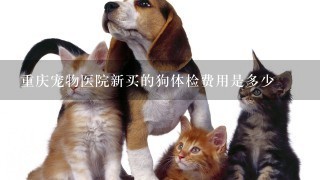 重庆宠物医院新买的狗体检费用是多少