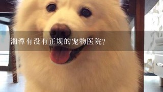 湘潭有没有正规的宠物医院？