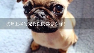 杭州上城的宠物医院都怎么样？