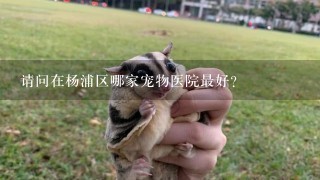 请问在杨浦区哪家宠物医院最好？