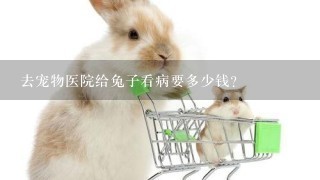 去宠物医院给兔子看病要多少钱？